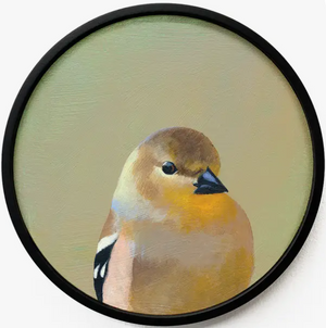 Wall Art - Goldfinch on 8in Round Framed Wood Panel by The Mincing Mockingbird
